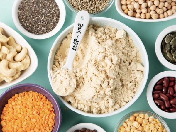 素食蛋白質,植物性蛋白質,豆類蛋白質,堅果蛋白質,穀物蛋白質