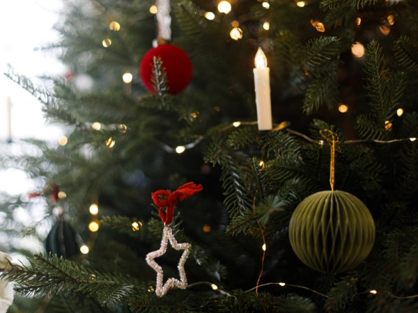 聖誕節,耶誕節,聖誕快樂,聖誕大餐,醬料,素食,蔬食