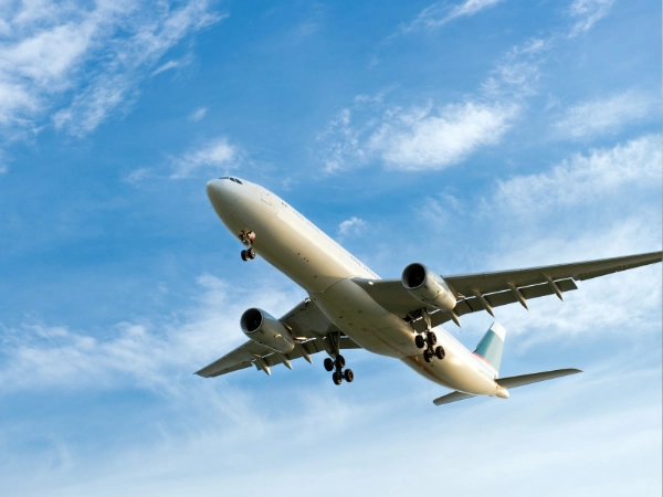 出國,飛機,海關,醬料,調味品