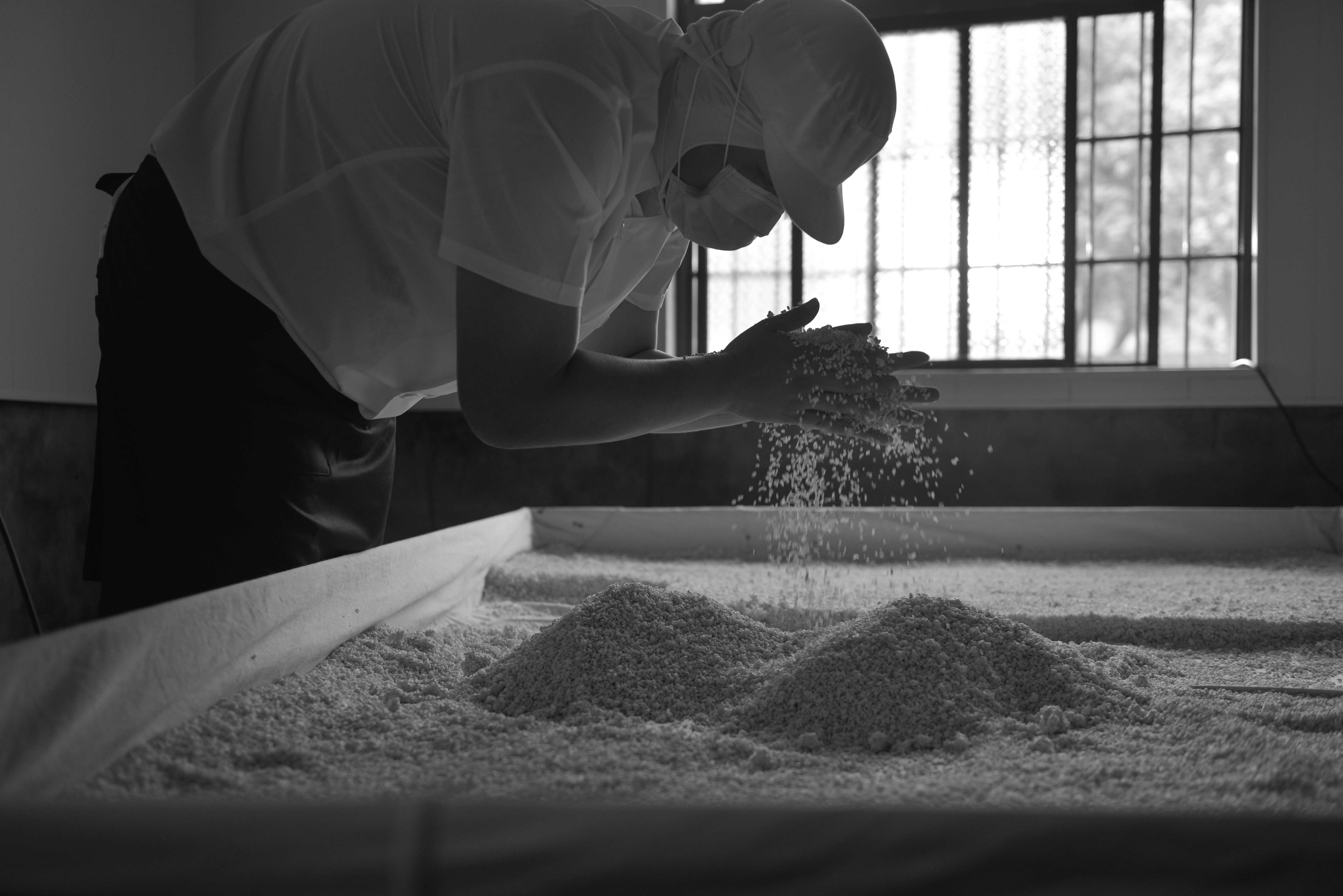 天然,純素,純淨,調味料,醬料,有機,沙茶,味噌,蠔油